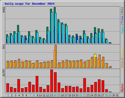 Daily usage for December 2024