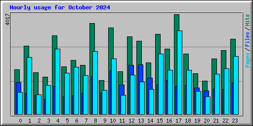 Hourly usage for October 2024
