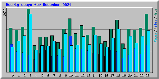 Hourly usage for December 2024