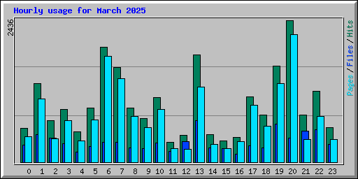 Hourly usage for March 2025