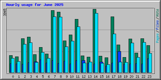 Hourly usage for June 2025